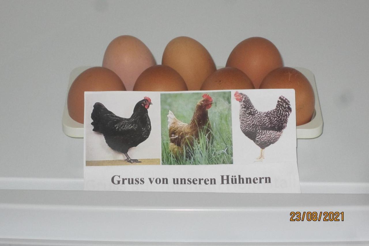 Ferienwohnung Landsknecht Volkach Esterno foto